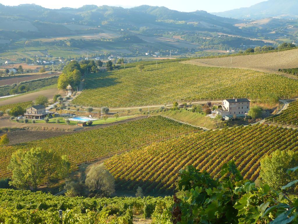 Agriturismo Biologico La Casa Degli Gnomi Ortezzano Buitenkant foto