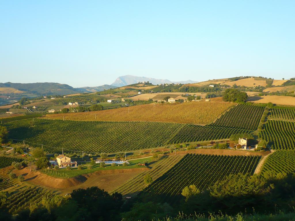 Agriturismo Biologico La Casa Degli Gnomi Ortezzano Buitenkant foto